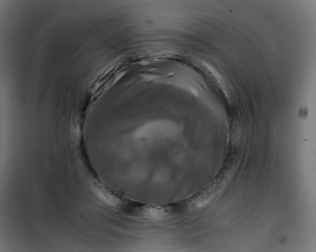 X0000100490405200806201657