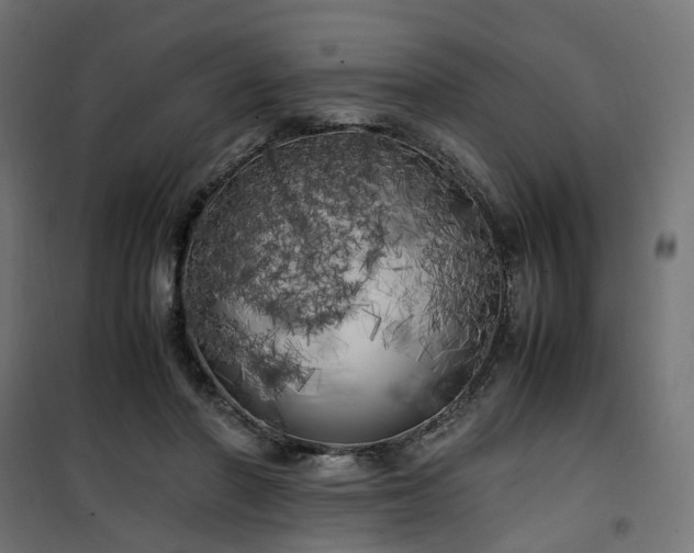 X0000100490406200806201657