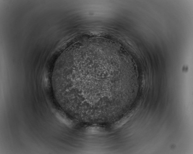 X0000100490408200806201657