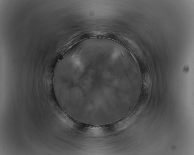 X0000100490409200806201657