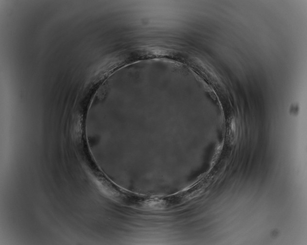 X0000100490410200806201657