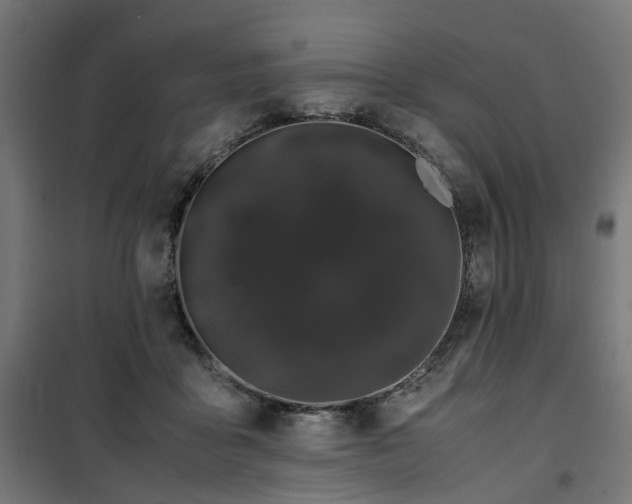 X0000100490411200806201657