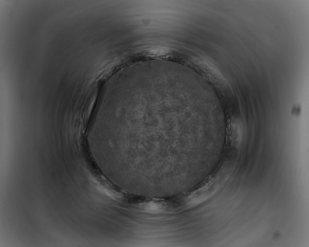 X0000100490412200806201657