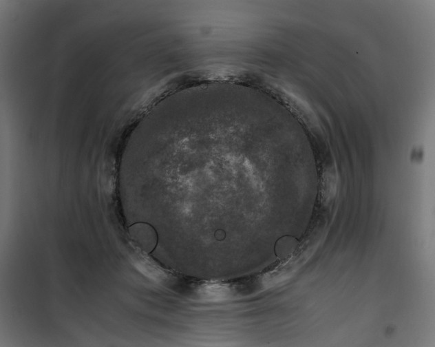 X0000100490413200806201657