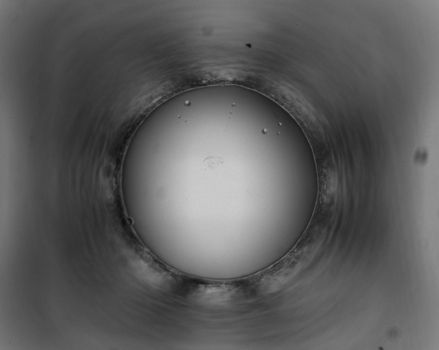 X0000100490414200806201657