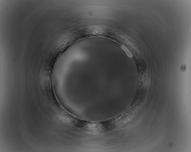 X0000100490415200806201657