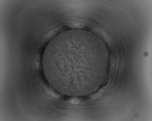 X0000100490416200806201657