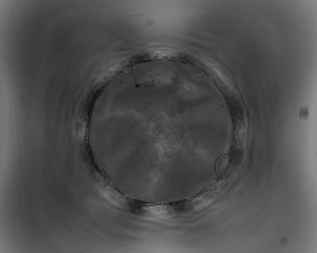 X0000100490417200806201657