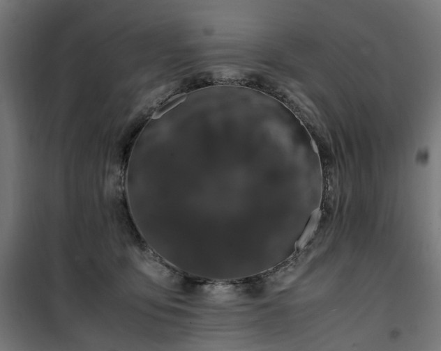 X0000100490419200806201657