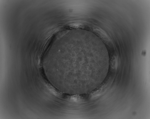 X0000100490420200806201657