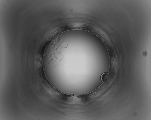 X0000100490421200806201657