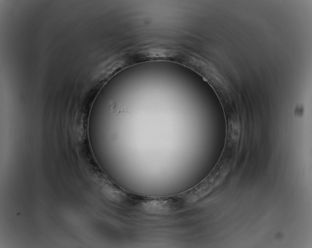 X0000100490422200806201657