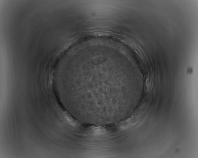 X0000100490424200806201657