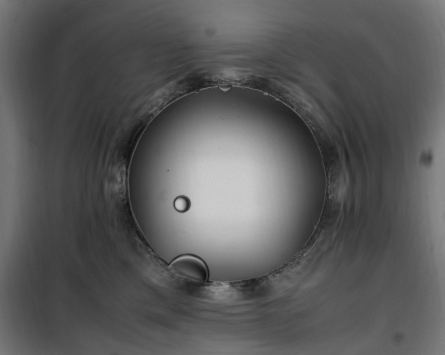 X0000100490425200806201657