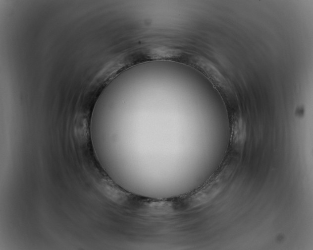 X0000100490426200806201657