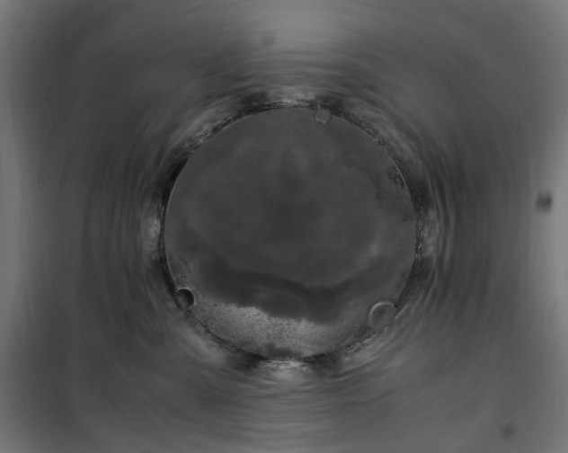 X0000100490427200806201657