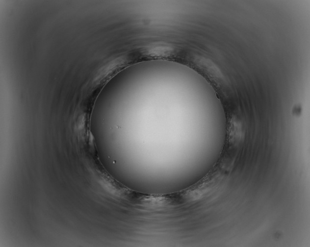 X0000100490428200806201657