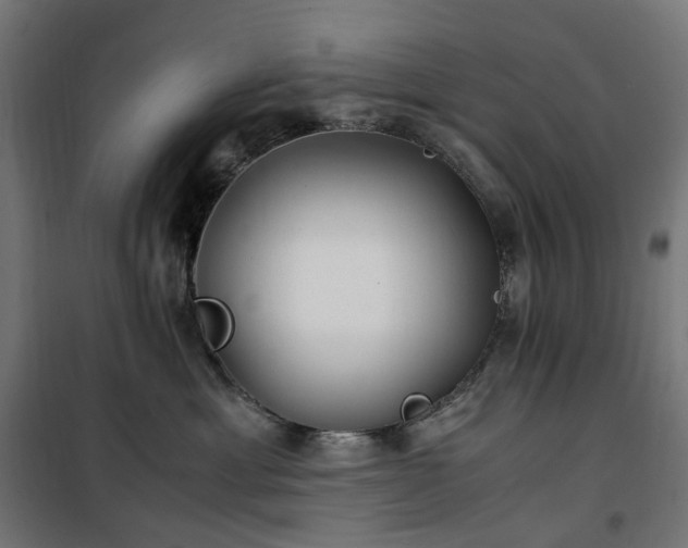 X0000100490429200806201657