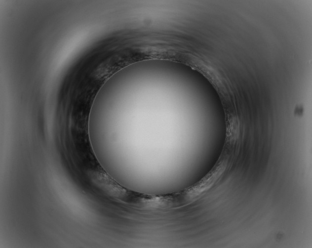 X0000100490430200806201657