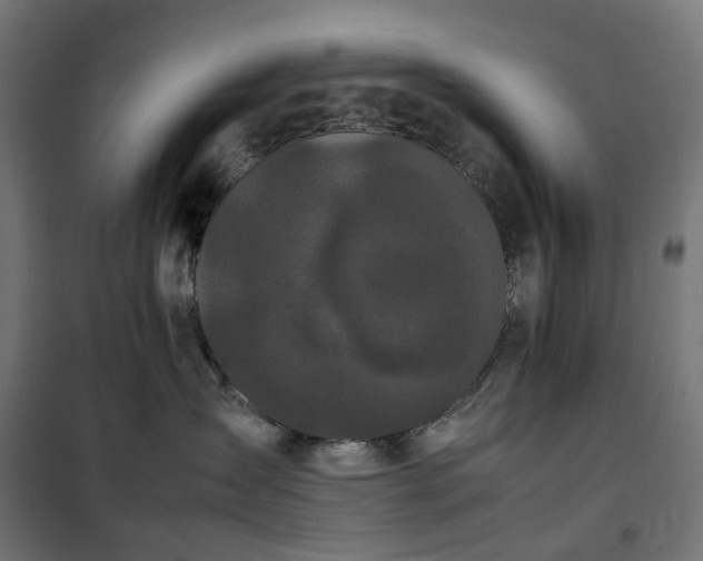 X0000100490431200806201657