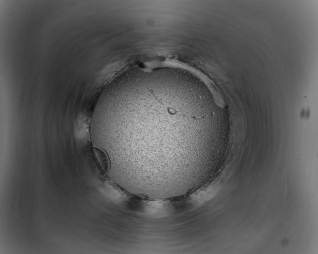 X0000100490432200806201657