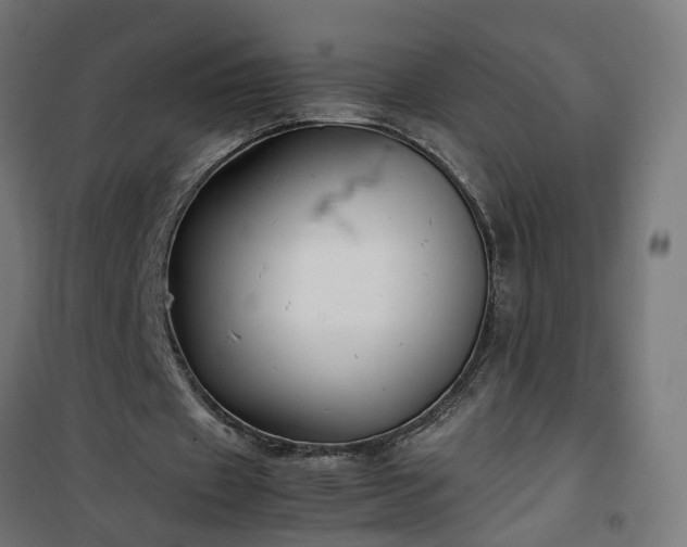 X0000100490433200806201656