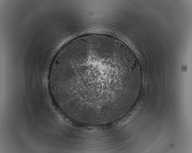 X0000100490434200806201656