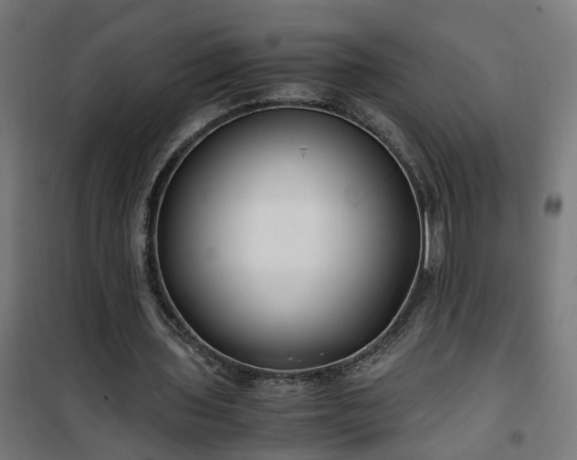 X0000100490435200806201656