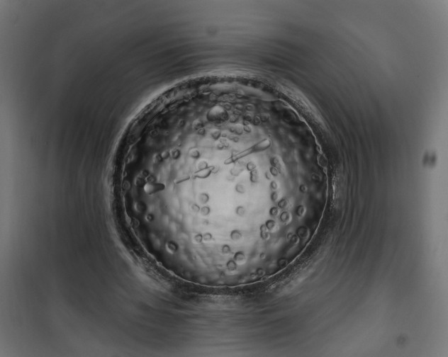 X0000100490436200806201656