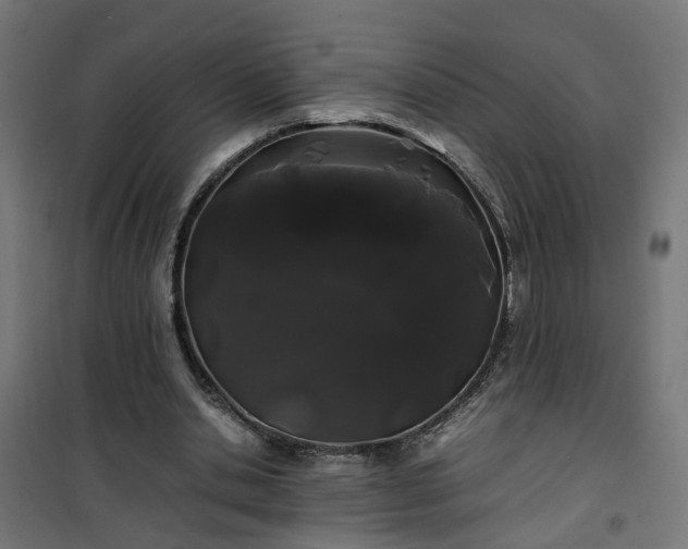 X0000100490438200806201656