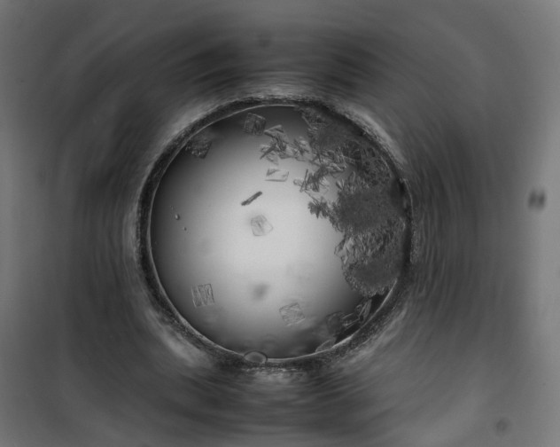 X0000100490439200806201656