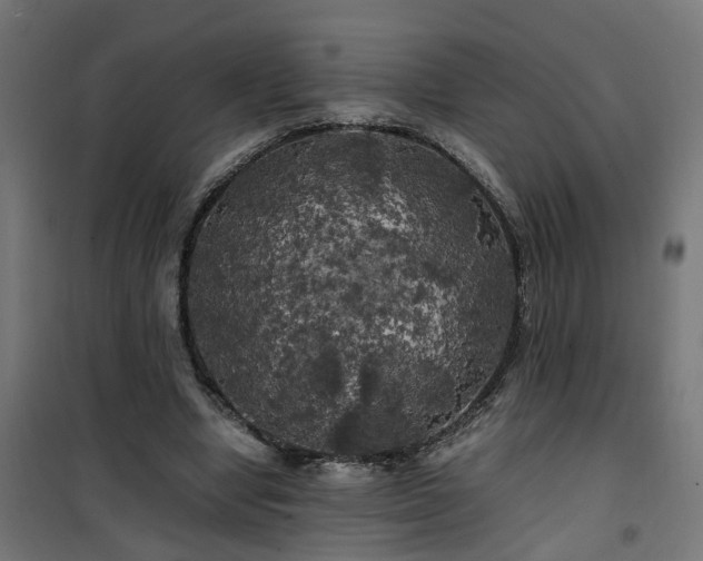 X0000100490442200806201656