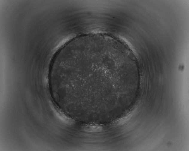 X0000100490443200806201656