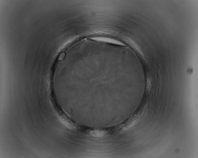 X0000100490444200806201656