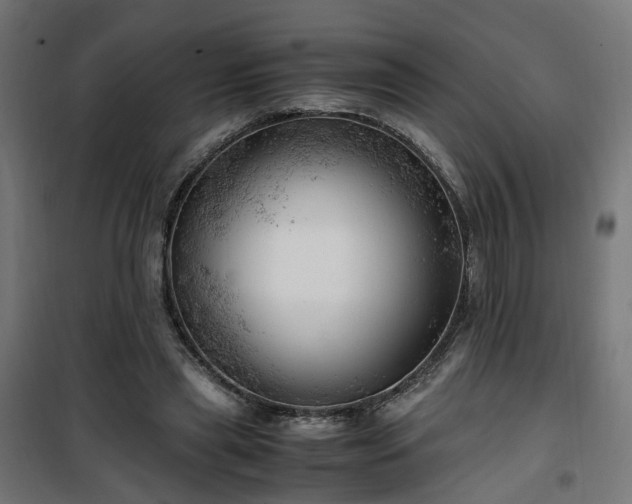 X0000100490445200806201656