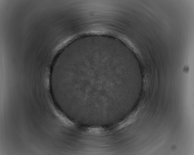 X0000100490446200806201656