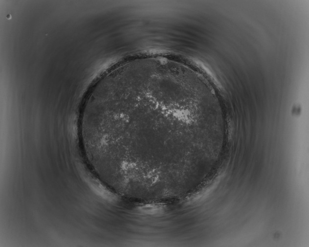 X0000100490447200806201656