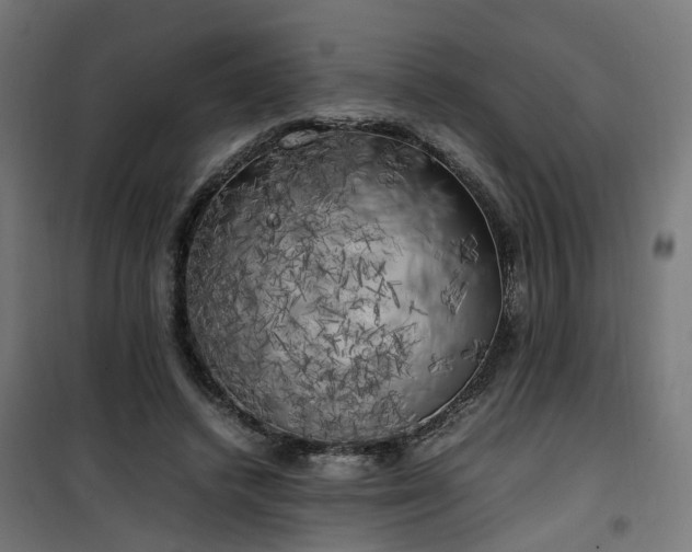 X0000100490448200806201656
