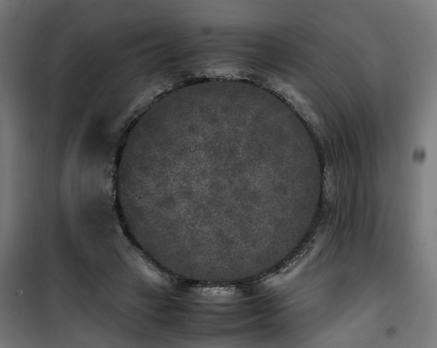 X0000100490449200806201656