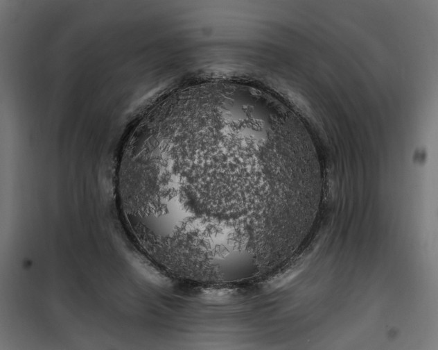 X0000100490450200806201656
