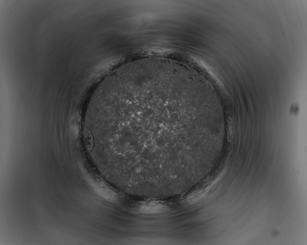 X0000100490451200806201656