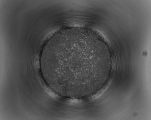 X0000100490453200806201656