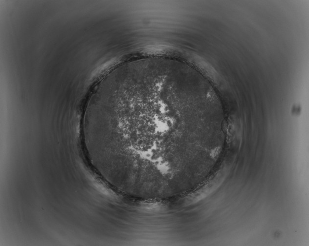 X0000100490454200806201656