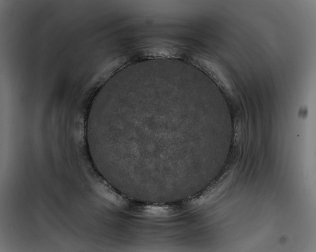 X0000100490457200806201656