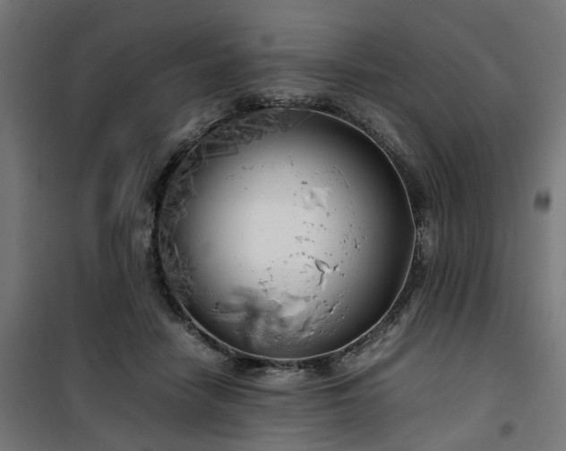 X0000100490458200806201656