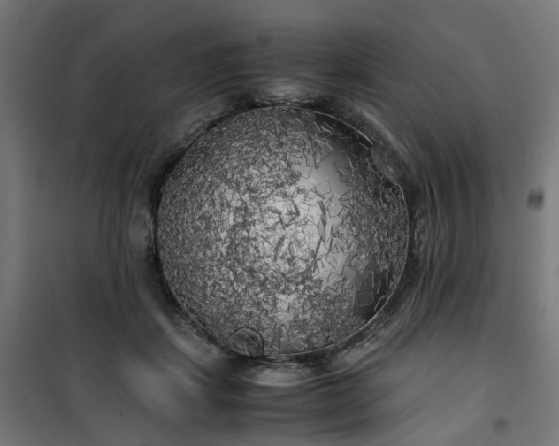 X0000100490459200806201656