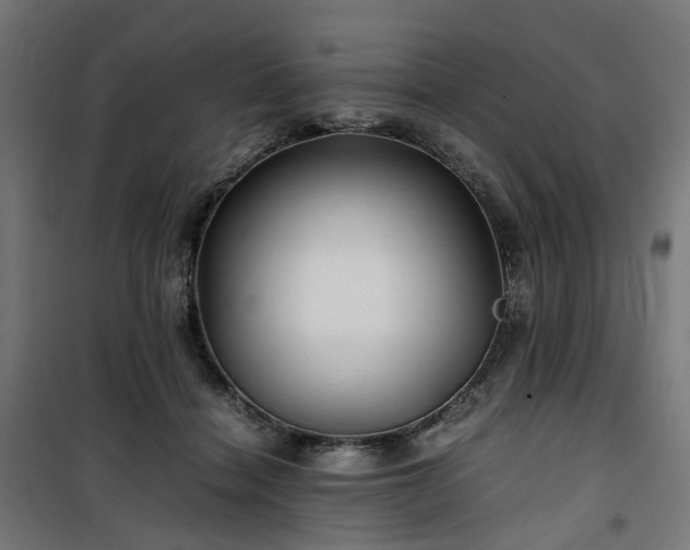 X0000100490460200806201656