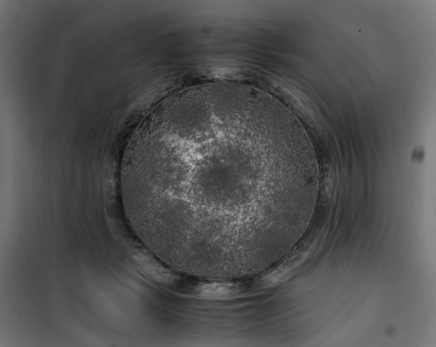 X0000100490461200806201656