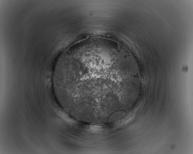 X0000100490462200806201656