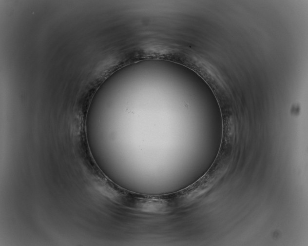 X0000100490463200806201656